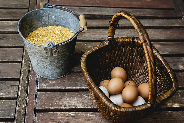 포토 JPG 해외이미지 음식 건강 사람없음 갈색 계란 신선 상품 양동이 유기농 날것 내추럴 해외202004 해외포토 웰빙 컬러 알 파일형식