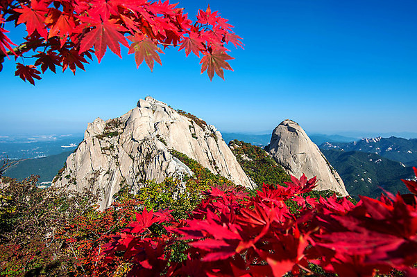 포토 JPG 해외이미지 나무 공원 여행 단풍 잎 자연 벽지 하늘 성공 산 서울 한국 풍경 사람없음 야외 빨간색 초록색 파란색 햇빛 노란색 일출 일몰 등산 하이킹 가을 바위 황무지 정상 숲 돌산 남쪽 공화국 전국 절정 화강암 해외202004 해외포토 식물 계절 공공시설 나라 아시아 컬러 컨셉 레저 태양 노을 트래킹 암석 돌_바위 방향 생태계 파일형식
