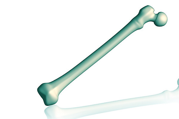 포토 JPG 해외이미지 손 신체 일러스트 손가락 해부 뼈 골격 사람 사람없음 3D 할로윈 흰색 무서움 만화 자르기 손목 팔 고립 넘어짐 해외202004 해외포토 감정 컬러 의학 모션 신체부위 디지털합성 파일형식