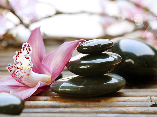 포토 JPG 해외이미지 꽃 분홍색 백그라운드 컨셉 사람없음 쌓기 검은색 스파 조약돌 흰색 마사지 난초 오브젝트 테라피 해외202004 해외포토 식물 컬러 모션 뷰티 돌_바위 파일형식