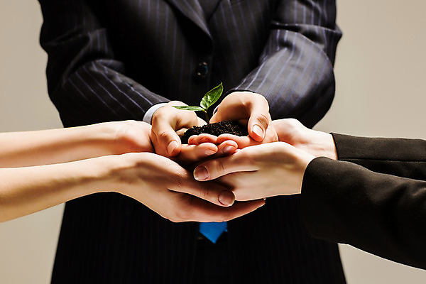 포토 JPG 해외이미지 나무 식물 손 지구 잎 돈 비즈니스 사업가 자연 성공 새로움 손바닥 사람 사람없음 초록색 금융 새싹 환경 흙 성장 재산 닫기 보호 생태계 투자 팔 회계 개발 모종 생태학 투자자 해외202004 해외포토 직업 교육 컬러 컨셉 모션 신체부위 경제 파일형식