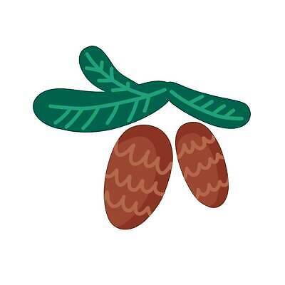 EPS 해외이미지 나무 식물 전통 스티커 크리스마스 겨울 꽃무늬 일러스트 휴가 새해 그래픽 장식 초록색 컬러풀 유행 축제 흰색 나뭇가지 축하 소나무 플랫 낙서 만화 그림 심플 손그림 침엽수 전나무 원뿔 고립 구성 엘리먼트 가문비나무 벡터 그리너리 해외202309 해외일러스트 도형 계절 기념일 꽃 컬러 컨셉 무늬 파일형식 트랜드컬러