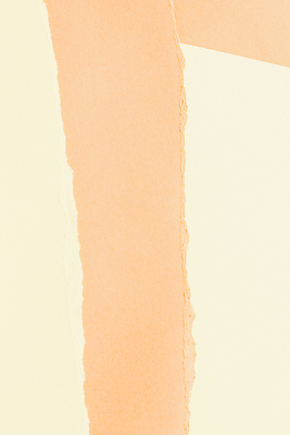 포토 JPG 해외이미지 종이 조각 백그라운드 사람없음 주황색 질감 콜라주 찢어짐 겹침 해외202309 해외포토 컬러 모션 파일형식