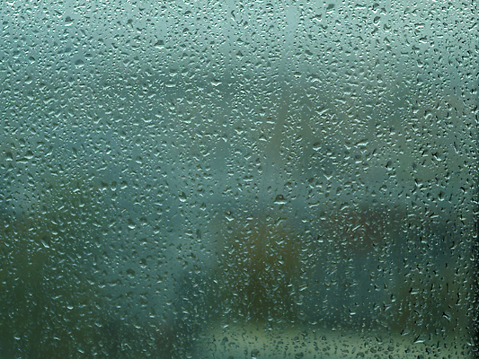 포토 JPG 해외이미지 디자인 계절 컬러 컨셉 잎 패턴 창문 자연 유리 벽지 표면 날씨 추상 주택 건조 사람없음 초록색 물 파란색 빛 햇빛 노란색 어둠 젖음 흐름 안개 가을 물방울 신용카드 투명 액체 떨어짐 저녁 소프트포커스 수증기 이슬 질감 블러 샤워실 우울증 해외202309 해외포토 자연요소 식물 무늬 재질 촬영기법 건물 금융 태양 질병 야간 생태계 샤워시설 파일형식