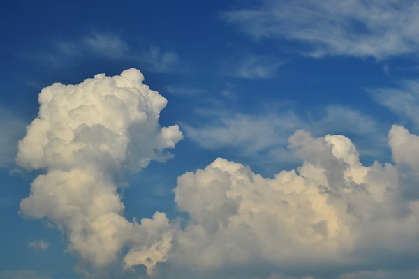포토 JPG 해외이미지 구름 디자인 계절 종교 컬러 하늘색 백그라운드 패턴 자연 벽지 하늘 날씨 풍경 사람없음 여름 파란색 빛 햇빛 뷰티 우주 환경 맑음 침묵 봄 흰색 오픈 순수 질감 부드러움 층 천국 솜털 흐림 내추럴 오존 해외202309 해외포토 자연요소 컨셉 무늬 태양 소리 감각 생태계 파일형식