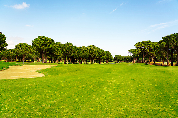 포토 JPG 해외이미지 나무 호수 스포츠 백그라운드 밭 골프 골프장 놀이 하늘 파노라마 잔디 사람없음 초록색 물 파란색 햇빛 태양 맑음 골프채 소나무 강의 클럽 휴양지 칠면조 페어웨이 카피스페이스 비어있는 해외202309 해외포토 자연요소 식물 컬러 농업 스포츠시설 조류 날씨 골프용품 촬영기법 구기 공백 장소 파일형식