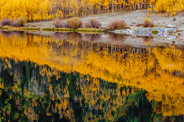 포토 JPG 해외이미지 나무 계절 도로 컬러 여행 백그라운드 잎 돈 자연 휴가 산 사람없음 야외 컬러풀 뷰티 반사 노란색 달러 미국 탐험 나뭇가지 고속도로 황무지 황금 고독 숲 멀리 탐사 콜로라도 해외202309 해외포토 식물 감정 길 북아메리카 교통시설 재산 생태계 파일형식