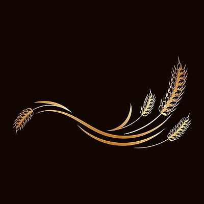 EPS 해외이미지 식물 음식 빵 줄기 밭 농업 일러스트 자연 밥 건강 옥수수 씨앗 농작물 농장 노란색 빵집 수확 황금 낟알 시리얼 밀 다발 심볼 사인 유기농 보리 귀 밀가루 스파이크 밀짚 내추럴 고립 밭일 수수 숙성 호밀 벡터 귀리 해외202309 해외일러스트 웰빙 산업 컬러 곡류 신체부위 상점 짚 가루 생태계 파일형식