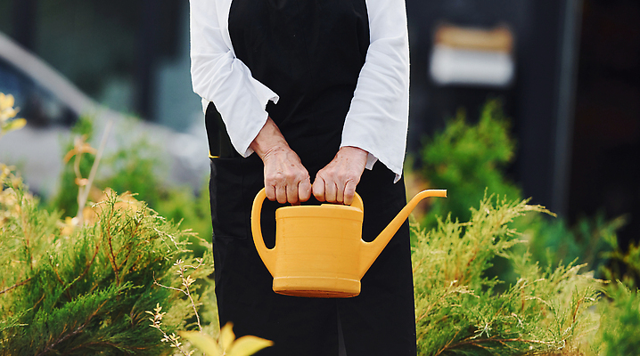 포토 JPG 해외이미지 백인 여자 노년 행복 화분 한명 들기 상반신 취미 야외 앞모습 실버라이프 정원 봄 물뿌리개 물주기 원예 원예식물 원예용품 노인여자한명만 해외202309 해외포토 서양인 식물 1 라이프스타일 계절 감정 뷰포인트 생활용품 모션 사람 성인 여자한명만 노인여자만 파일형식