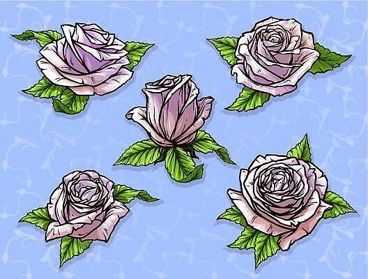 EPS 해외이미지 식물 꽃잎 꽃 실루엣 분홍색 컬러 꽃다발 결혼 백그라운드 컨셉 잎 꽃무늬 일러스트 자연 결혼식 그래픽 장식 초록색 파란색 세트 뷰티 장미 귀여움 정원 봄 낭만 벚꽃 흰색 나뭇가지 축하 가시 만화 문신 스파이크 고립 벡터 현실 디테일 해외202309 해외일러스트 나무 계절 무늬 촬영기법 이벤트 생태계 파일형식