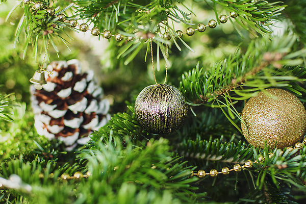 포토 JPG 해외이미지 나무 템플릿 디자인 별 크리스마스 겨울 공 불 휴가 조명 새로움 새해 사람없음 장식 초록색 빛 반짝임 장난감 노란색 얼음 활발 흰색 점 눈송이 황금 매끈함 소프트포커스 연도 활 질감 보케 엽서 문학 부드러움 마법 전나무 원뿔 빛망울 강렬 해외202309 해외포토 자연요소 도형 식물 계절 기념일 컬러 컨셉 모션 눈_날씨 촬영기법 감각 편지 파일형식