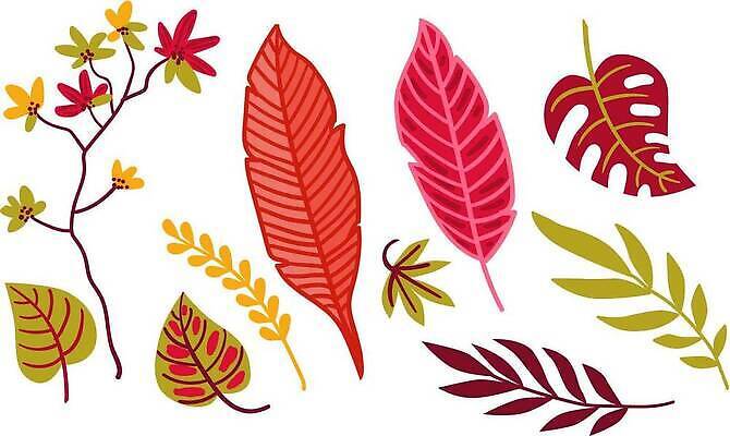 EPS 해외이미지 나무 식물 디자인 꽃 백그라운드 잎 꽃무늬 패턴 일러스트 자연 벽지 휴가 열대 바나나 손바닥 미술 장식 초록색 여름 세트 유행 정원 봄 벚꽃 직물 인쇄 질감 하와이 브라질 고립 엘리먼트 이국적 파라다이스 스타일 벡터 알로하 해외202309 해외일러스트 손 계절 컬러 무늬 과일 문화예술 미국 인사 남아메리카 생태계 파일형식