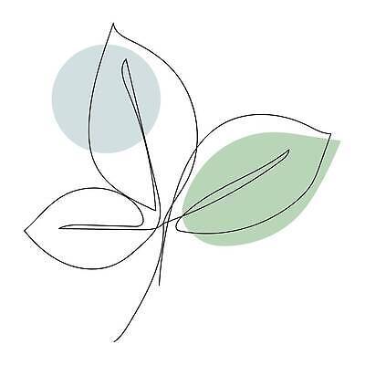 EPS 해외이미지 식물 디자인 선 잎 일러스트 자연 미술 장식 스케치 그림 윤곽 엘리먼트 반복 해외202309 해외일러스트 문화예술 생태계 파일형식 벡터