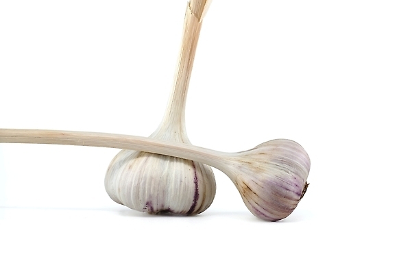 포토 JPG 해외이미지 식물 계절 음식 백그라운드 채소 재료 전구 건조 건강 마늘 요리 사람없음 초록색 약 보라색 흰색 신선 양념 그룹 닫기 맛 허브 향신료 오브젝트 유기농 매움 날것 아로마 향료 향 성분 아로마테라피 흙더미 내추럴 고립 숙성 채식주의자 해외202309 해외포토 웰빙 컬러 컨셉 의학 모션 흙 채식 향기 냄새 테라피 향미료 파일형식 더미