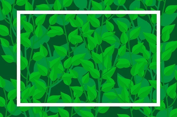 EPS 해외이미지 나무 식물 디자인 꽃 백그라운드 잎 꽃무늬 패턴 일러스트 자연 벽지 추상 바나나 손바닥 미술 그래픽 장식 초록색 컬러풀 유행 정원 봄 수확 흰색 나뭇가지 직물 인쇄 그림 질감 복고 하와이 이국적 파라다이스 하와이인 벡터 알로하 해외202309 해외일러스트 외국인 손 계절 컬러 무늬 농업 과일 문화예술 미국 인사 생태계 파일형식