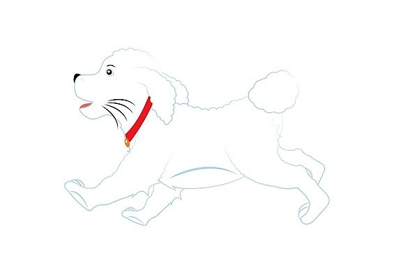 EPS 해외이미지 클립아트 동물 디자인 행복 얼굴 컬러 일러스트 서기 그래픽 반려동물 세트 머리 정보 흰색 플랫 개 강아지 만화 수집 그림 위치 솜털 송곳니 고립 기르기 동반자 벡터 순혈 해외202309 해외일러스트 감정 포유류 모션 신체부위 치아 돌봄 파일형식