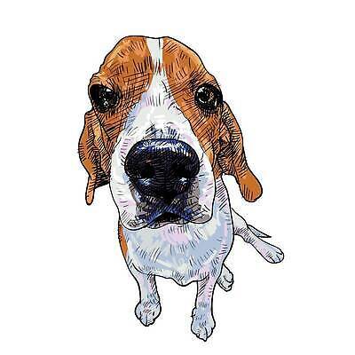 EPS 해외이미지 동물 디자인 백그라운드 일러스트 포유류 자연 그림자 미술 앉기 반려동물 갈색 머리 검은색 에너지 흰색 개 강아지 작음 그림 사냥개 비글 송곳니 기르기 유래 벡터 순혈 해외202309 해외일러스트 컬러 모션 문화예술 신체부위 치아 크기 생태계 돌봄 파일형식