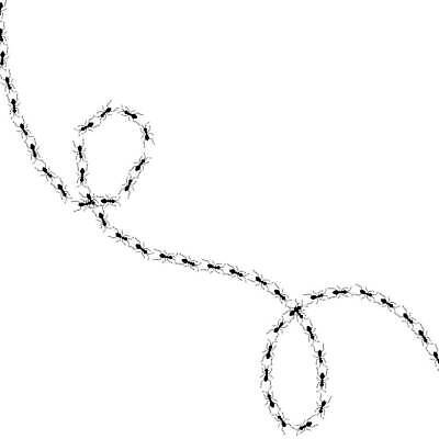 EPS 해외이미지 식물 동물 실루엣 야생동물 선 벽 곤충 백그라운드 패턴 일러스트 자국 자연 벽지 흑백 검은색 수확 흰색 그룹 해충 벌레 낙서 스케치 딱정벌레 타일 그림 질감 심플 거미 개미 내추럴 기어가기 고립 모기 식민지 벡터 효과 해외202309 해외일러스트 컬러 무늬 농업 모션 촬영기법 미술 생태계 파일형식