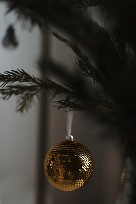 포토 JPG 해외이미지 크리스마스장식 겨울 사람없음 장식 크리스마스트리 어둠 분위기 소프트포커스 전나무 오너먼트 해외포토 나무 계절 컨셉 크리스마스 촬영기법 파일형식