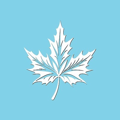 EPS 해외이미지 모양 나무 식물 디자인 계절 실루엣 컬러 백그라운드 단풍 잎 일러스트 자연 추상 미술 그래픽 장식 빨간색 초록색 파란색 노란색 검은색 가을 흰색 심볼 오브젝트 싱글 그림 내추럴 고립 엘리먼트 벡터 해외202309 해외일러스트 무늬 문화예술 촬영기법 생태계 파일형식