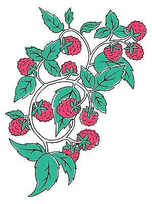 EPS 해외이미지 열매 선 음식 일러스트 장식 빨간색 초록색 검은색 수확 화려 달콤 맛 낙서 흰배경 윤곽 산딸기 색칠공부 엘리먼트 타격 스타일 쓰다듬기 맛있는 해외202309 해외일러스트 식물 컬러 백그라운드 컨셉 농업 과일 모션 학습 흰색 색칠 파일형식 벡터