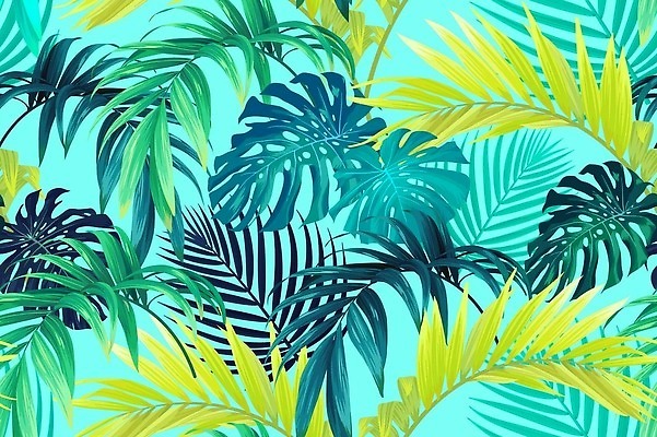 EPS 해외이미지 나무 식물 손 디자인 바다 백그라운드 잎 꽃무늬 패턴 일러스트 자연 벽지 손바닥 미술 그래픽 장식 초록색 파란색 유행 직물 숲 열대우림 휴양지 질감 하와이 캘리포니아 이국적 파라다이스 하와이인 벡터 알로하 해외202309 해외일러스트 외국인 꽃 컬러 무늬 문화예술 신체부위 미국 장소 인사 생태계 파일형식