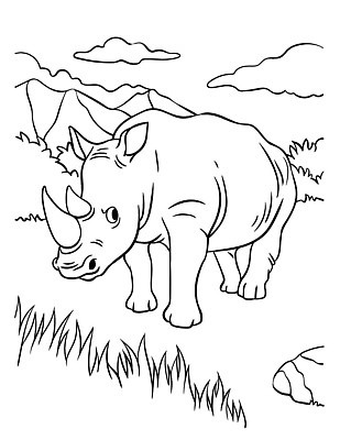 EPS 해외이미지 동물 캐릭터 디자인 교육 야생동물 어린이 선 컬러 백그라운드 일러스트 포유류 아프리카 자연 뿔 동물원 미술 그래픽 책 큼 사파리 그림 윤곽 손그림 페이지 코뿔소 걸음마 색칠공부 벡터 해외202309 해외일러스트 일러캐릭터 나라 모션 문화예술 사람 학습 색칠 크기 생태계 파일형식