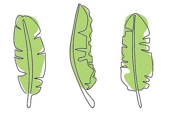 EPS 해외이미지 나무 식물 디자인 꽃 실루엣 종이 결혼 잎 꽃무늬 일러스트 자연 벽지 추상 프레임 바나나 미술 장식 여름 뷰티 정원 봄 수확 직물 인사 낙서 스케치 다발 수집 문신 허브 그림 질감 복고 손그림 부족 내추럴 고립 벡터 해외202309 해외일러스트 계절 컨셉 무늬 농업 과일 문화예술 촬영기법 이벤트 예절 생태계 파일형식