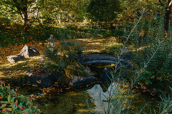 포토 JPG 해외이미지 나무 식물 계절 공원 아시아 문화 컬러 여행 백그라운드 단풍 잎 불교 오렌지 건축양식 자연 동양인 풍경 사람없음 야외 가로 빨간색 초록색 물 컬러풀 뷰티 반사 노란색 평화 정원 일본 가을 연못 숲 내추럴 랜드마크 옛날 카피스페이스 해외202309 해외포토 자연요소 공공시설 건축 나라 종교 컨셉 과일 인종 공백 생태계 파일형식