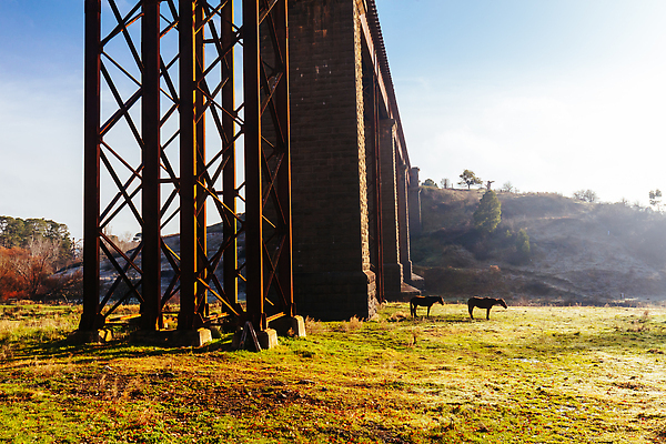 포토 JPG 해외이미지 상징 여행 건축양식 교통시설 아침 풍경 사람없음 건물 초록색 물 강 태양 반사 맑음 기차 추위 안개 바위 시골 호주 이슬 서리 공학 천연기념물 구름다리 랜드마크 해외202309 해외포토 주간 자연요소 건축물 교육 건축 육상교통 컬러 교통 날씨 대중교통 돌_바위 다리_건축물 오세아니아 시설 파일형식