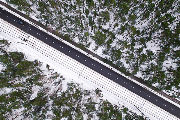 포토 JPG 해외이미지 나무 도로 겨울 자연 풍경 사람없음 야외 하이앵글 눈 숲 가로수 해외202309 해외포토 자연요소 식물 계절 길 뷰포인트 교통시설 날씨 생태계 파일형식
