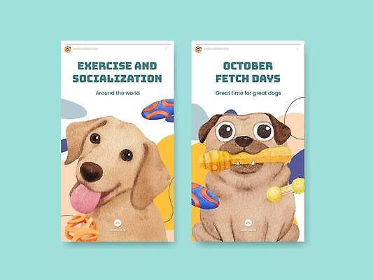 EPS 해외이미지 반려견 두마리 일러스트 사람없음 세트 강아지 질감 애견용품 모바일앱 해외일러스트 반려용품 2 반려동물 개 오브젝트 파일형식 벡터