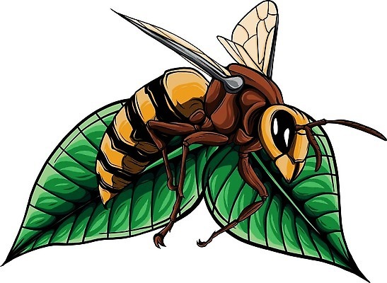 EPS 해외이미지 식물 동물 디자인 꽃잎 꽃 음식 곤충 잎 꽃무늬 날개 오렌지 일러스트 비즈니스 자연 추상 건강 초록색 농장 노란색 정원 봄 벚꽃 머리빗 개화 달콤 벌레 상품 만화 벌 에코 유기농 꽃가루 꿀 내추럴 고립 왁스 호박벌 벡터 해외202309 해외일러스트 웰빙 계절 컬러 무늬 농업 과일 환경 미용용품 맛 벌_곤충 가루 생태계 파일형식