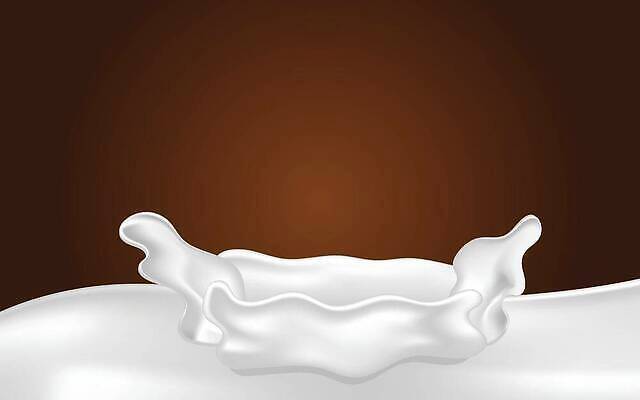 EPS 해외이미지 모양 음료 어린이 음식 파도 백그라운드 일러스트 모션 자연 추상 건강 그림자 미술 물 갈색 초콜릿 흐름 우유 흰색 신선 액체 붓기 떨어짐 아침식사 상품 먹기 크림 순수 비타민 코코아 요거트 내추럴 떨림 고립 단백질 칼슘 스플래쉬 벡터 카피스페이스 현실 유체 해외202309 해외일러스트 자연요소 바다 컬러 컨셉 무늬 문화예술 디저트 유제품 사람 식사 공백 생태계 영양소 파일형식