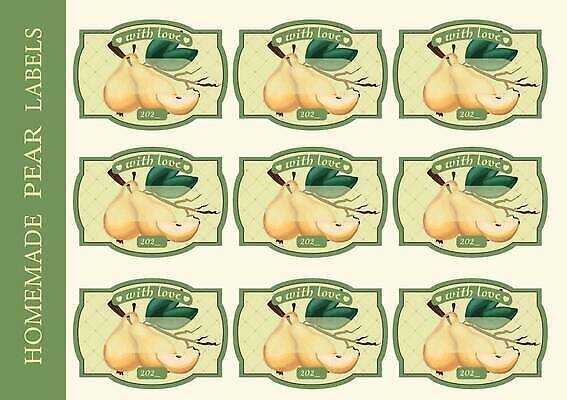 EPS 해외이미지 일러스트 사람없음 초록색 세트 라벨 빈티지 잼 서양배 핸드메이드 해외202309 해외일러스트 컬러 컨셉 프레임 배_과일 소스_음식 파일형식 벡터