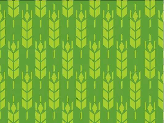 EPS 해외이미지 식물 디자인 음식 빵 백그라운드 패턴 밭 농업 일러스트 자연 벽지 추상 옥수수 미술 장식 초록색 농장 빵집 수확 흰색 낟알 밀 심볼 유기농 질감 보리 귀 내추럴 고립 수수 호밀 스타일 벡터 해외202309 해외일러스트 웰빙 산업 컬러 무늬 문화예술 곡류 신체부위 상점 생태계 파일형식