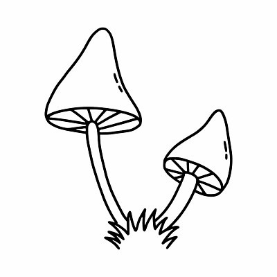 EPS 해외이미지 식물 디자인 꽃 선 백그라운드 스티커 일러스트 재료 그래픽 장식 정원 검은색 버섯 흰색 낙서 스케치 심볼 사인 마녀 엽서 윤곽 물약 고립 엘리먼트 벡터 해외202309 해외일러스트 컬러 미술 약 편지 파일형식