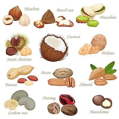 EPS 해외이미지 식물 디자인 음식 백그라운드 농업 다이어트 과일 일러스트 재료 자연 호박 해바라기 콩 건강 씨앗 그래픽 세트 컬러풀 갈색 견과류 흰색 소나무 그룹 플랫 수집 먹기 심볼 유기농 날것 땅콩 호두 코코넛 아몬드 브라질 내추럴 개암나무 고립 엘리먼트 채식주의자 캐슈넛 피스타치오 피칸 벡터 개암 맛있는 해외202309 해외일러스트 나무 웰빙 열매 꽃 산업 컬러 채소 모션 곡류 남아메리카 생태계 채식 파일형식