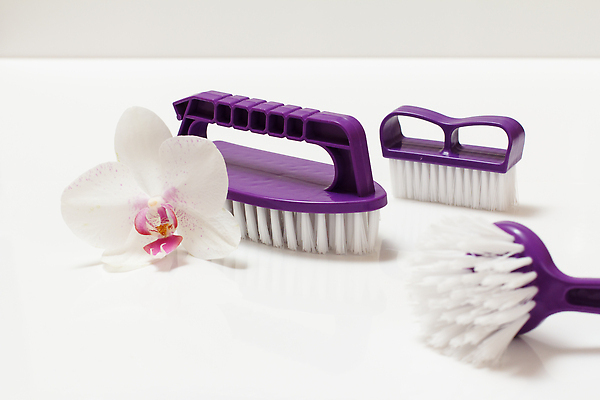 포토 JPG 해외이미지 꽃 사람없음 깨끗함 보라색 흰색 솔 청소도구 청소 오브젝트 해외202309 해외포토 식물 컬러 컨셉 도구 파일형식
