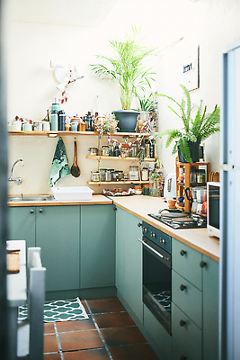 포토 JPG 해외이미지 라이프스타일 꽃 가구 백그라운드 컨셉 건축양식 탁자 주방용품 새로움 선반 아파트 주택 실내 한명 사람없음 내부 목재 장식 초록색 빛 인테리어 뷰티 우주 주방 식사 기계 흰색 고급 우아함 오븐 계산대 싱크대 심플 해외202309 해외포토 나무 식물 1 디자인 건축 컬러 생활용품 재료 사람 건물 생활 가전제품 개수대 파일형식