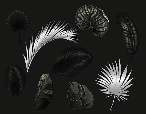 EPS 해외이미지 모양 템플릿 디자인 배너 종이 백그라운드 잎 꽃무늬 패턴 일러스트 벽지 추상 프레임 그림자 미술 그래픽 장식 빛 갈색 노란색 우주 금속 검은색 공백 가을 흰색 직물 신용카드 황금 우아함 은색 숲 천 질감 복고 내추럴 엘리먼트 스타일 벡터 현실 해외202309 해외일러스트 식물 계절 꽃 컬러 컨셉 무늬 재질 문화예술 금융 파일형식