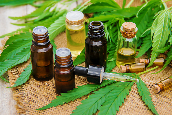 포토 JPG 해외이미지 백그라운드 잎 자연 사람없음 아웃포커스 뷰티 신선 오일 내추럴 해외202309 해외포토 식물 음식 촬영기법 화장품 생태계 파일형식