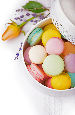 포토 JPG 해외이미지 그릇 꽃 백그라운드 사람없음 컬러풀 달콤 허브 마카롱 해외202309 해외포토 식물 식기 컬러 디저트 맛 파일형식