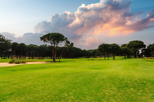 포토 JPG 해외이미지 나무 호수 스포츠 백그라운드 밭 골프 골프장 놀이 하늘 파노라마 잔디 사람없음 초록색 물 햇빛 태양 맑음 골프채 소나무 강의 클럽 휴양지 칠면조 페어웨이 카피스페이스 비어있는 해외202309 해외포토 자연요소 식물 컬러 농업 스포츠시설 조류 날씨 골프용품 촬영기법 구기 공백 장소 파일형식