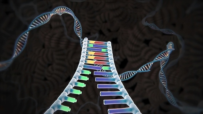 포토 JPG 해외이미지 과학 일러스트 건강 사람없음 약 표현 DNA 생명공학 묶기 약국 유기농 생물학 원자 조제 고립 규정 단백질 인수 번역 아연 해외202309 해외일러스트 웰빙 교육 의학 모션 만들기 영양소 파일형식