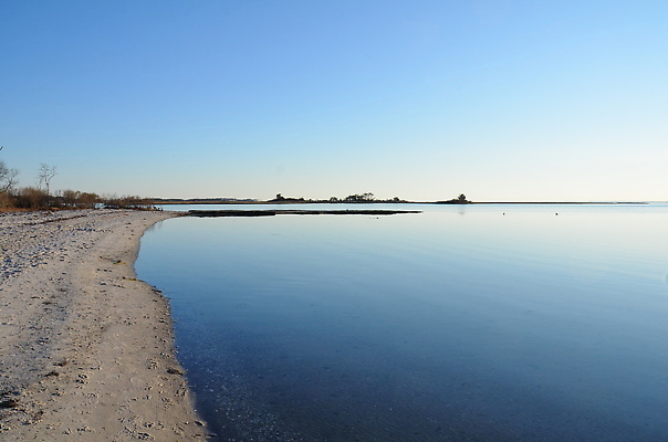 포토 JPG 해외이미지 식물 호수 모래 바다 자연 하늘 잔디 사람없음 야외 물 강 갈색 연못 습지 해외202309 해외포토 자연요소 컬러 생태계 파일형식