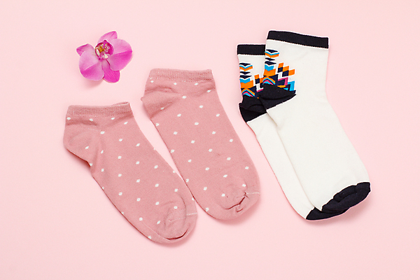 포토 JPG 해외이미지 꽃 분홍색 양말 사람없음 하이앵글 오브젝트 해외202309 해외포토 식물 뷰포인트 컬러 파일형식