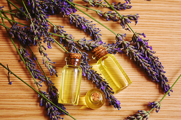 포토 JPG 해외이미지 사람없음 아웃포커스 하이앵글 오일 아로마테라피 라벤더 내추럴 에센스 해외202309 해외포토 꽃 음식 뷰포인트 촬영기법 화장품 허브 테라피 파일형식