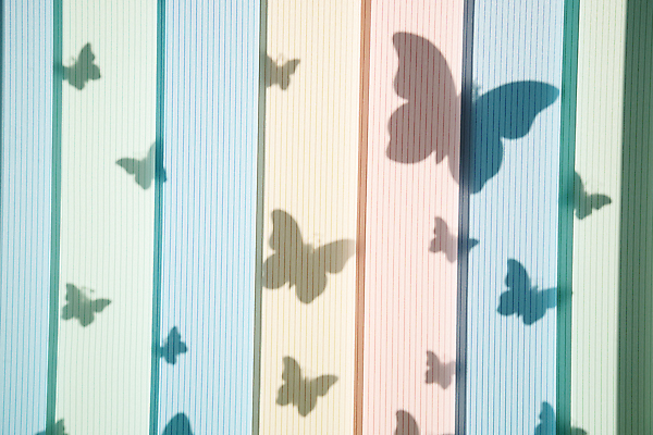 포토 JPG 해외이미지 디자인 꽃 분홍색 컬러 꽃다발 결혼 백그라운드 꽃무늬 의자 자연 탁자 호텔 결혼식 사랑 이벤트 사람없음 야외 내부 장식 초록색 뷰티 장미 파티 케이크 식당 저녁식사 봄 낭만 수확 흰색 시골 축하 고급 우아함 배열 설정 내추럴 접수 정중 스타일 해외202309 해외포토 식물 계절 감정 가구 컨셉 무늬 농업 숙소 디저트 상점 식사 생태계 파일형식