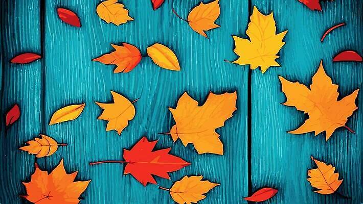 EPS 해외이미지 식물 디자인 계절 꽃 컬러 백그라운드 단풍 잎 패턴 오렌지 일러스트 자연 추상 프레임 그림자 타이포그라피 사람없음 야외 장식 빨간색 초록색 컬러풀 노란색 할로윈 가을 플랫 우아함 숲 질감 윤곽 주말 추수감사절 내추럴 창백 그런지 엘리먼트 전국 벡터 제의 해외202309 해외일러스트 문자 기독교 컨셉 무늬 과일 생태계 파일형식